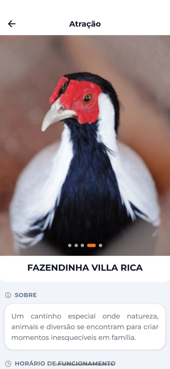 Tela de uma atração do Complexo, com foto, descrição e horário